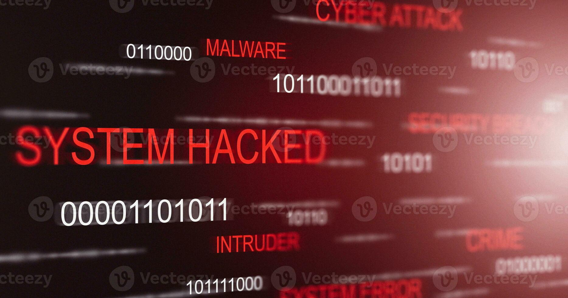 Computer Crimes